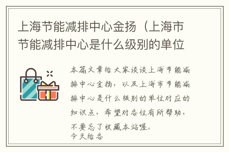上海节能减排中心金扬（上海市节能减排中心是什么级别的单位）